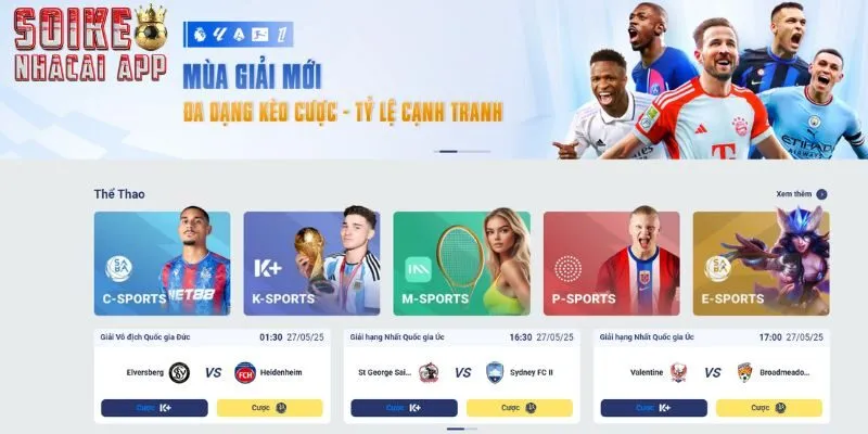 Giới thiệu sơ lược về nhà cái cá cược an toàn Sky88