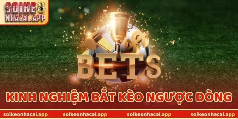 Bật Mí Kinh Nghiệm Bắt Kèo Ngược Dòng Chuẩn Dễ Áp Dụng
