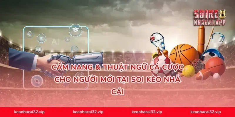 Cẩm Nang & Thuật Ngữ Cá Cược Cho Người Mới Tại Soi Kèo Nhà Cái